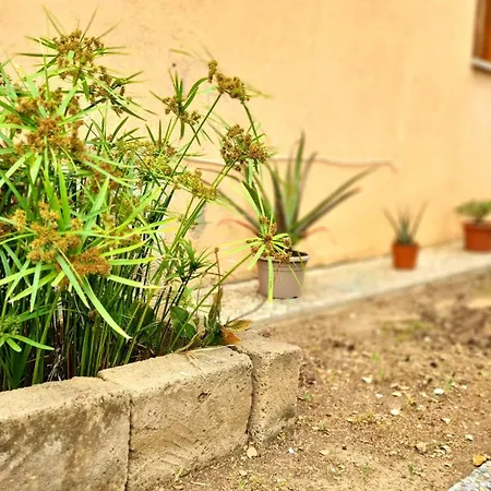 Salvatore Appartement Porto Azzurro